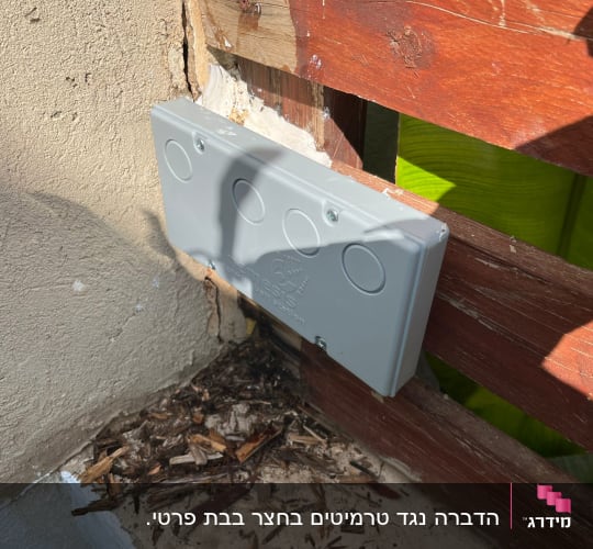 הדברה נגד טרמיטים בחצר בבת פרטי.